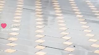 Смешные животные