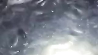 Lele yang dipelihara di kolam tanah terlihat lebih berisi apalagi pakan alternatif EMON REBUS