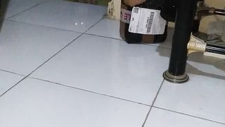 hungry cat