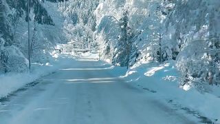 Winter wonderland