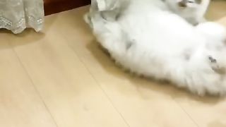 He was ambushed