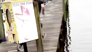 funny short