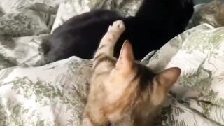 Anger management needed here