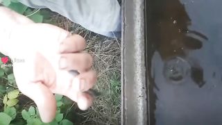 Смешные животные