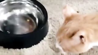 So good boys