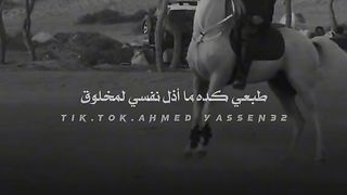 الحويطات 111