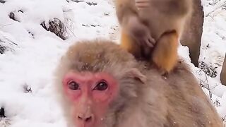 Mother's feet are not cold