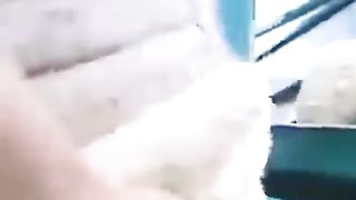 Panen bulu domba Bioteknologi