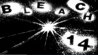 Bleach Episode 14