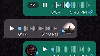 Best funny video