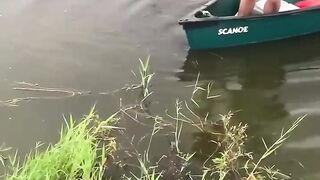 Fishing but getting crocodiles