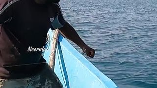 Catching+King+Fish+in+the+Sea