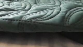 Funny & Cute Cats Compilation ????#cats #funny #satisfying #cutes