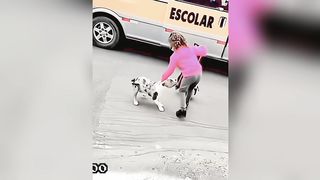 Video respect!!.. Part 11.  -From dog