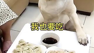 Funny viral video must watch