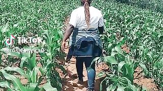 Being a farmer it's not easy guy's