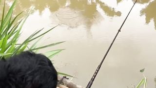 fishing story in the pond
