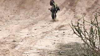 A deadly race!!!