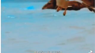Never Give up in life