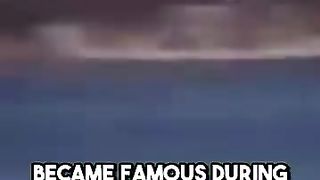 Which PLANE became famous during the FALKLANDS WAR__