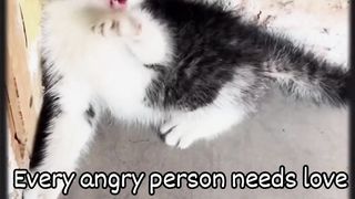 Every angry person needs love!.