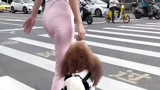 Funny videos 2