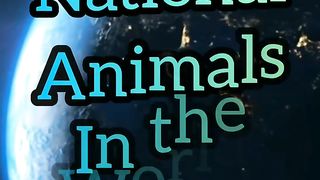 Top 10 national animal in the world