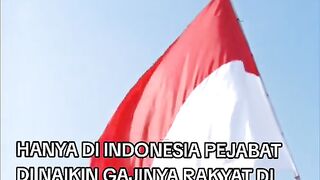 Indonesian flag