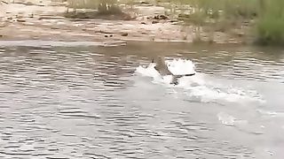 River crossing