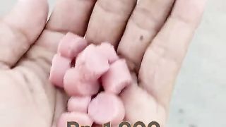 Makanan Kucing VS Sosis