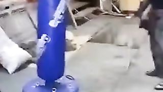 Boxing classes didn't go according to plan
