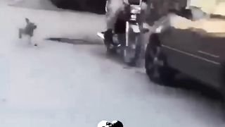 the-end-funny-fails