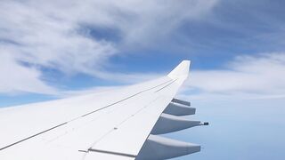 "Aviation Odyssey: High-Flying Adventures"
