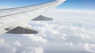 "Above and Beyond: High-Flying Adventures"