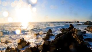 Peaceful Nature Video | Relax Soul and Mind | Natural Video | Febspot