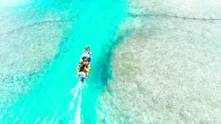 Nutare