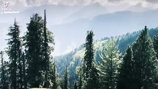 Mesmerizing Mountains????️