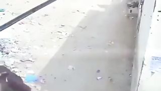 Donkey attack man