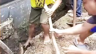 Clatch a big snake