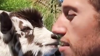 When you try to find mutual understanding with your beloved