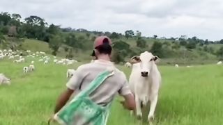 Funny moment