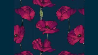 Desert Rose · Roudeep