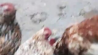 Kabi Kisi ko duk mat do