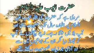 Hazard Ayyoub Alai his salam  |حضرت ایوب علیہ السلام