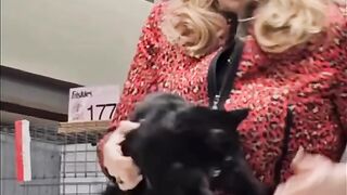 That cat got piss!!