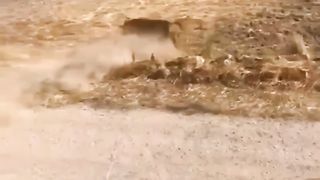 Watch till the ending part