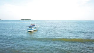 "Yacht Reverie: Sailing into Paradise"