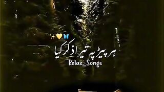 Pagal haan hum song status