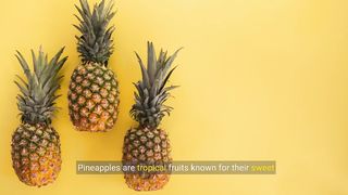 Facts About Pineapple