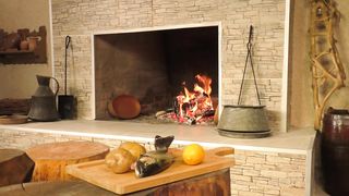 Trout in fireplace